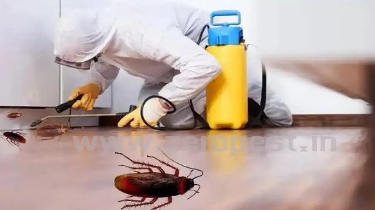 Cockroach Pest Control in Noida
